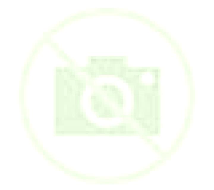Abril Nogales escort