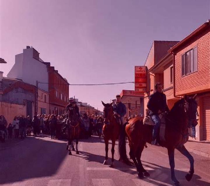 Adriana Belmez escort