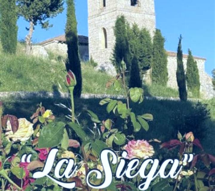 Aitana Leintz-Gatzaga escort
