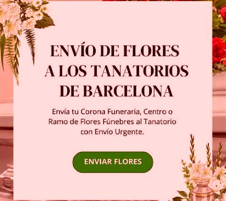 Aitana Payo de Ojeda escort