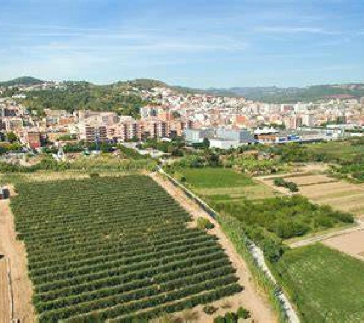 Alba 3 Monterrubio de la Sierra escort
