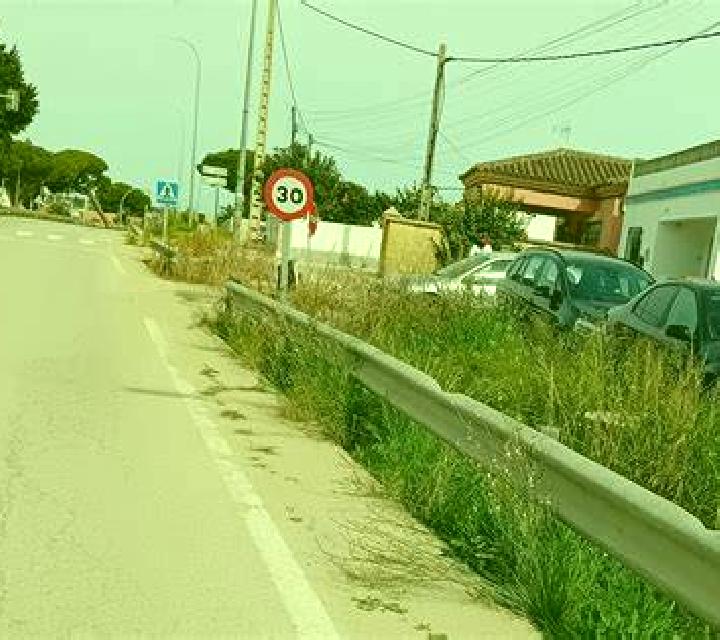 Alba Moncofa escort