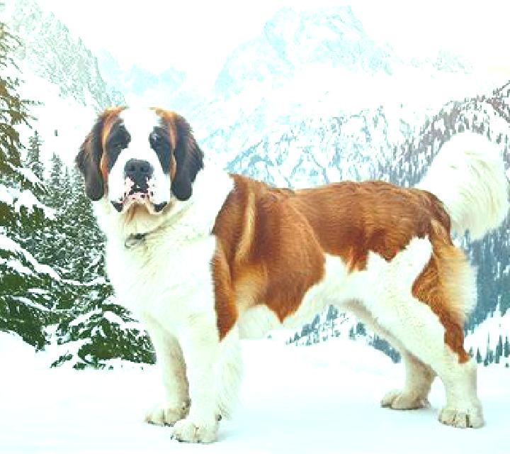 Alejandra 3 Azuara escort