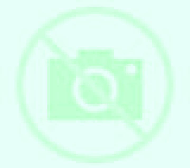 Alejandra 3 Olmedo escort