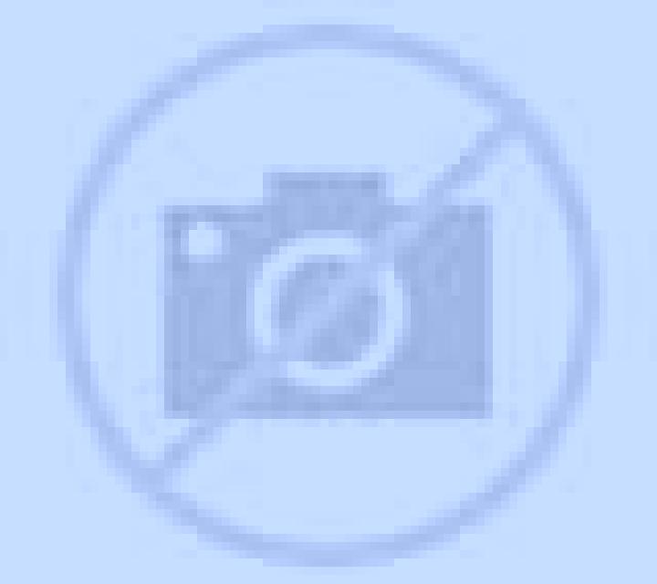 Alejandra Barchin del Hoyo escort
