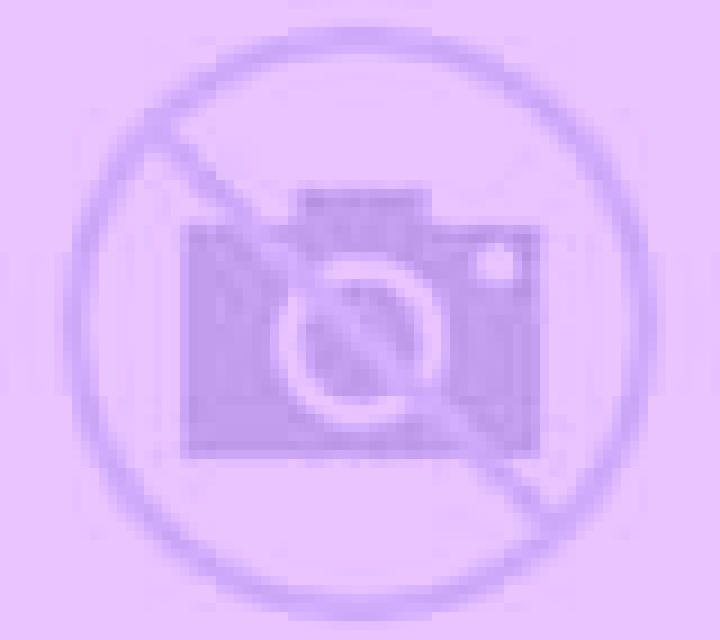 Amanda Castildelgado escort