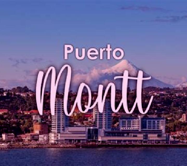 Amaya Montealegre del Castillo escort