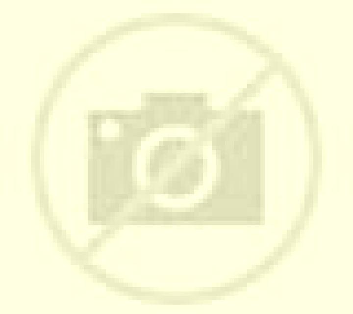 Amaya Solorzano escort