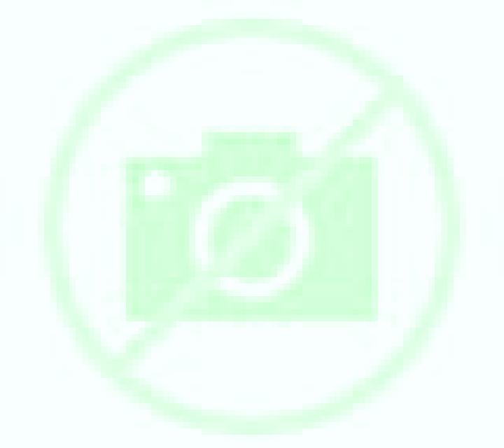 Andrea 2 Boalo escort