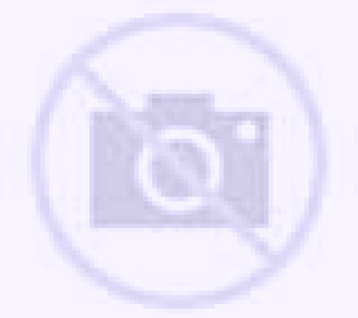 Andrea 2 La Parrilla escort
