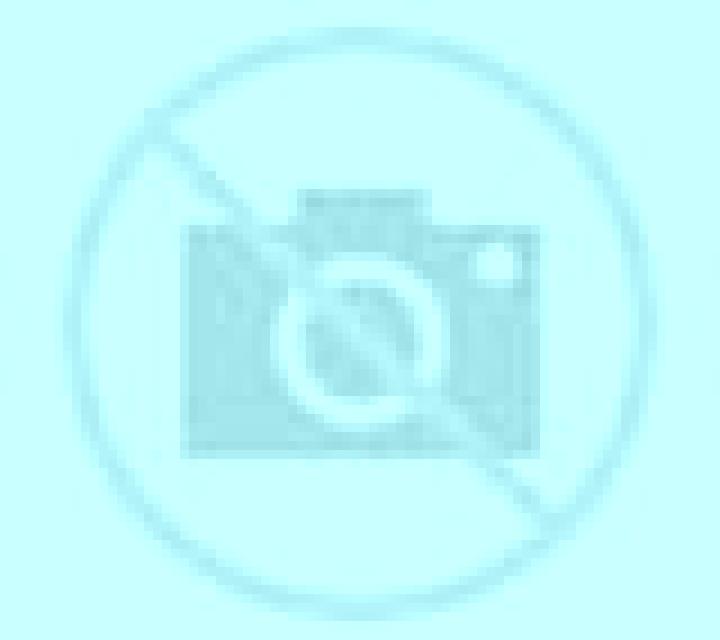 Andrea 2 Nules escort