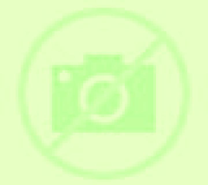 Andrea 3 Landete escort