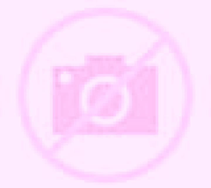Andrea 3 Saro escort