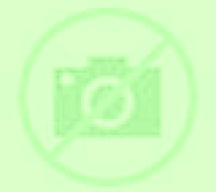 Andrea Navatalgordo escort