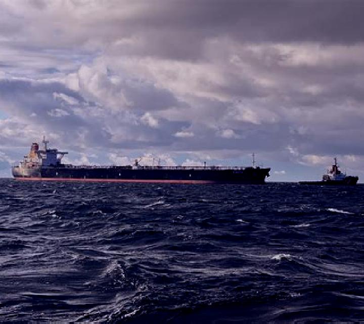 Andrea Torremayor escort