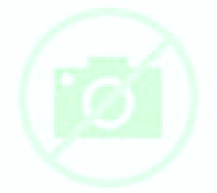 Andrea Villacanas escort