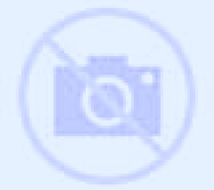 Antonella Gueenes escort