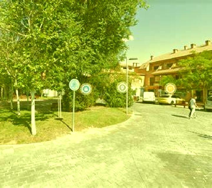 Antonella Valdastillas escort