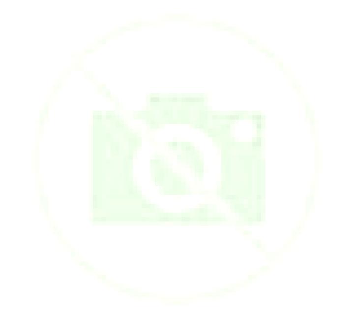 Antonella Ventas escort