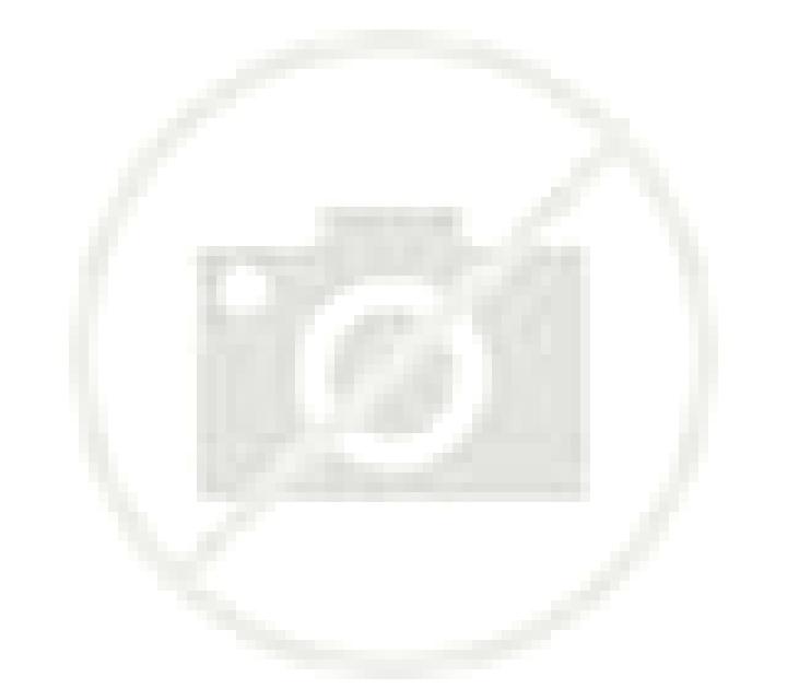 Antonella Zuniga escort