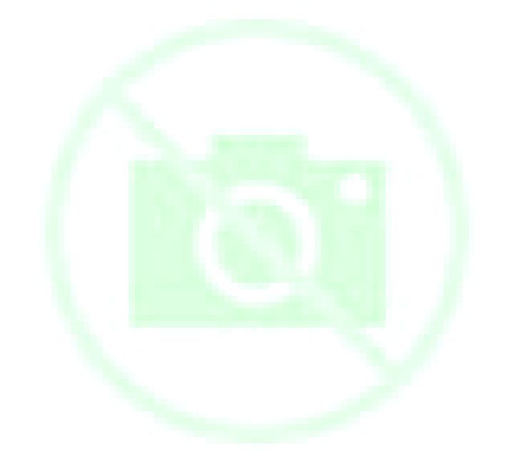 Beatriz 3 Torregamones escort