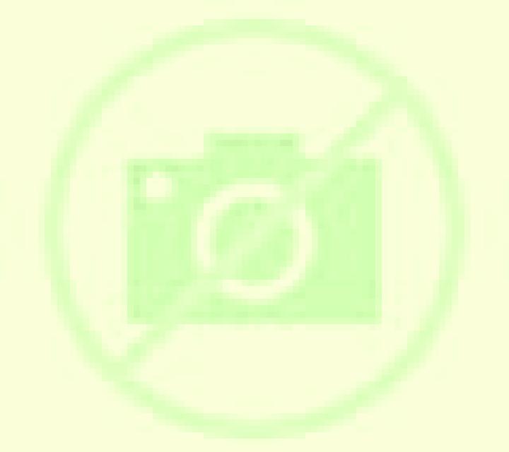Beatriz Alfes escort