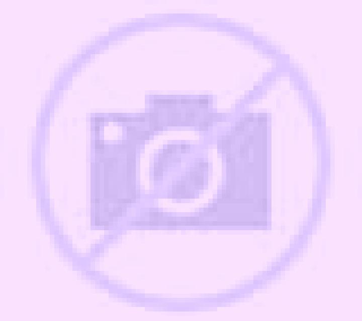 Bianca Siguees escort