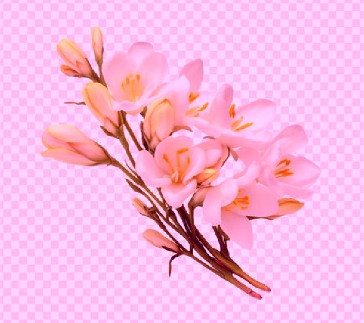 Camila 2 Fresno de Caracena escort