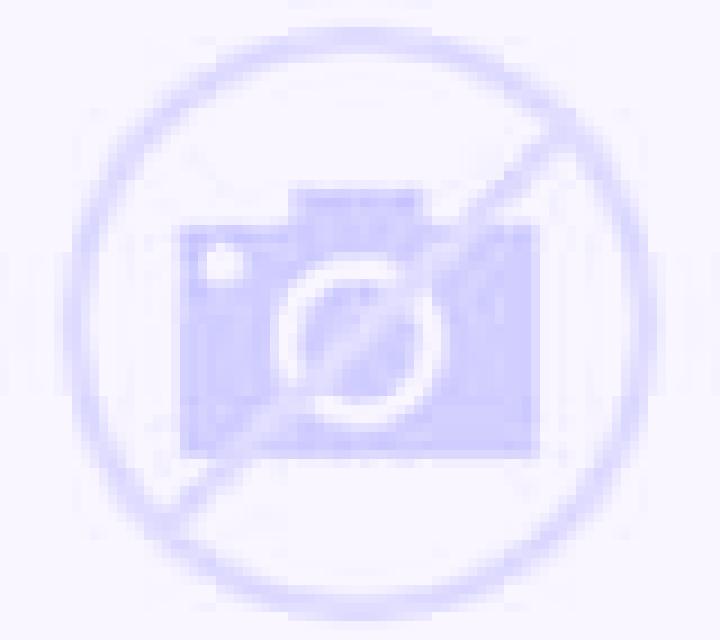 Camila 2 Golosalvo escort