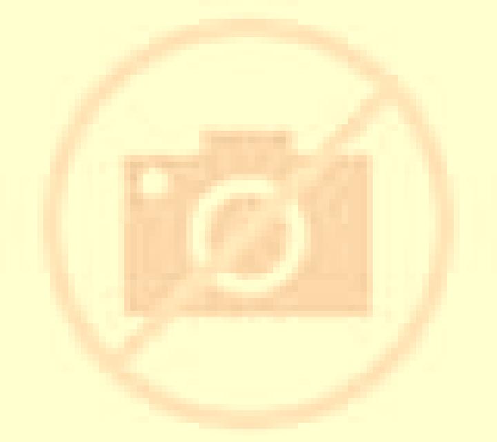 Camila 3 Donjimeno escort