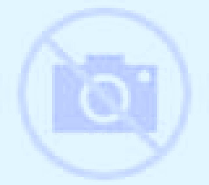 Camila 3 El Campello escort