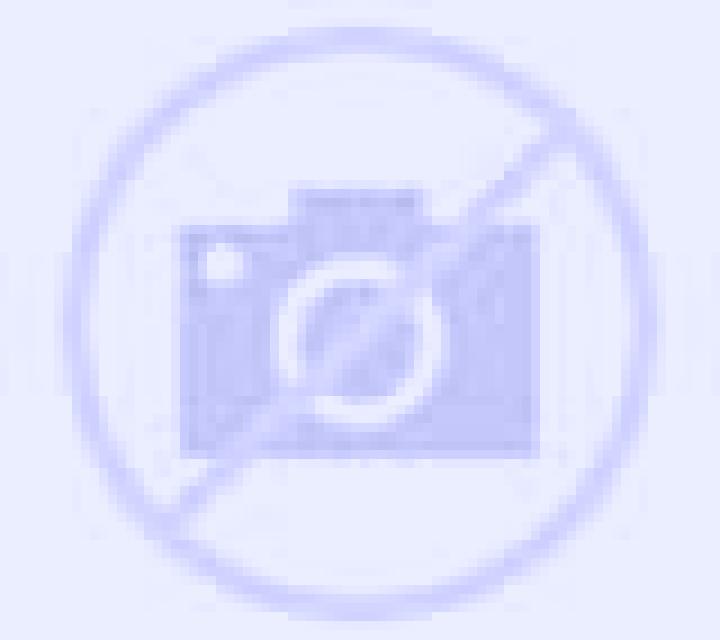 Camila 3 La Almunia de Dona Godina escort
