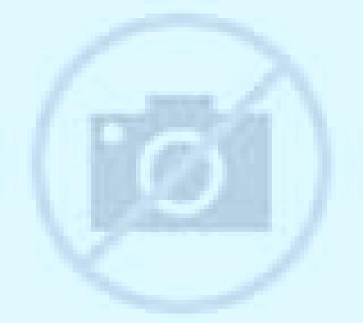 Camila 3 Meira escort