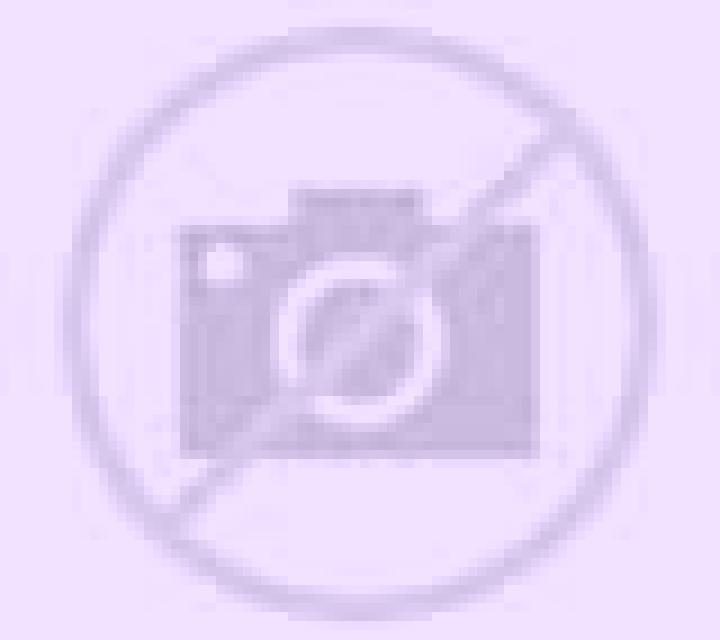 Camila Asco escort