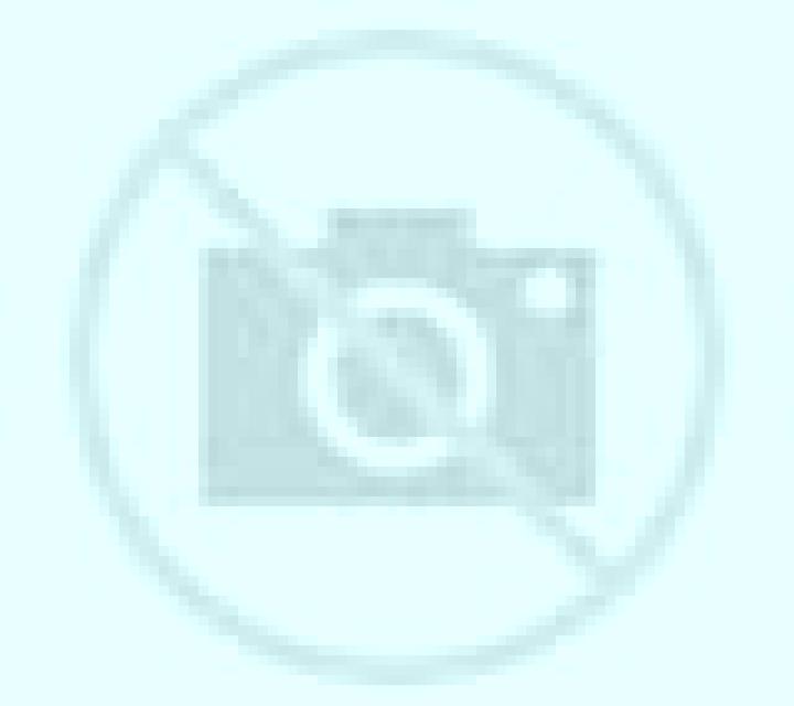 Camila Beniarres escort