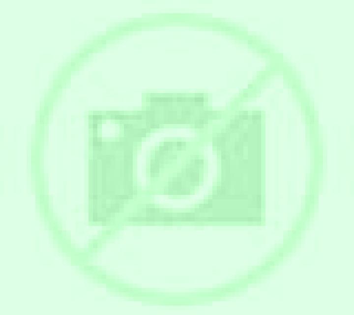 Camila Petres escort