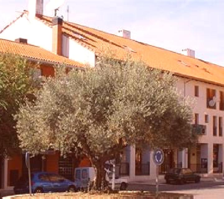 Carla 2 Zuera escort