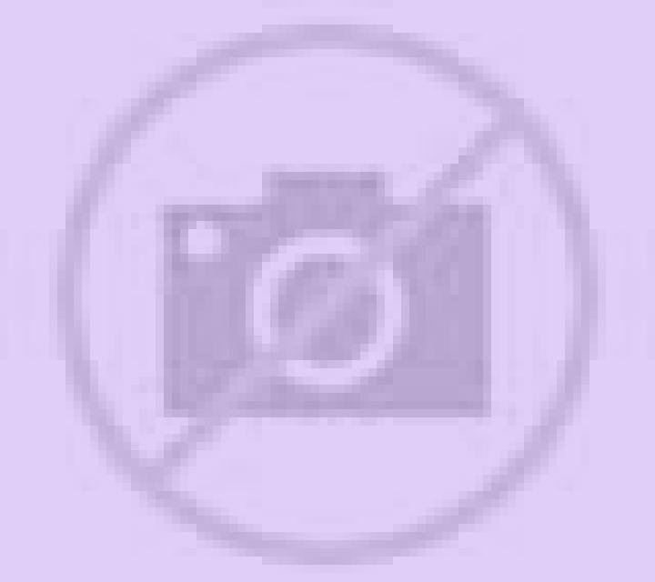 Carla 3 Codorniz escort