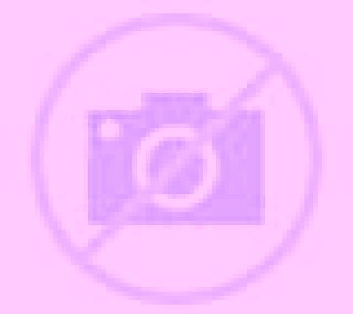 Carla Requena escort