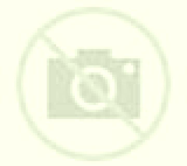 Carmen 2 Casas Bajas escort