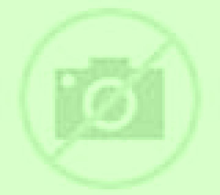 Carmen 3 Elgeta escort