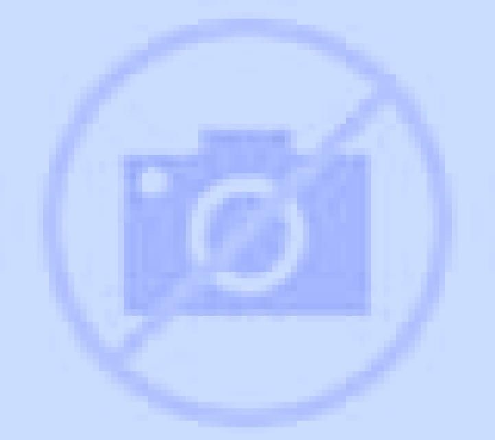 Carmen Castilla escort