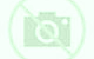 Carmen Fores escort