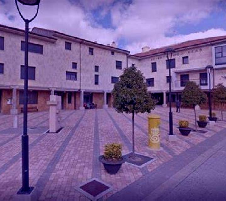 Cayetana 2 Alfamen escort