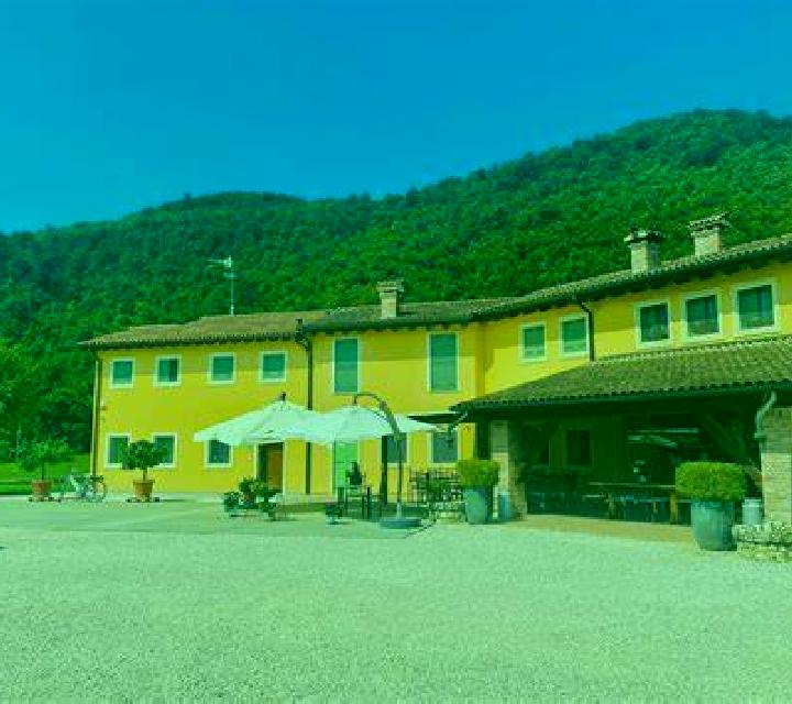 Cayetana 2 Singra escort