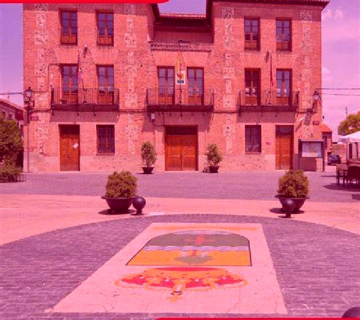 Cayetana 3 Camos escort