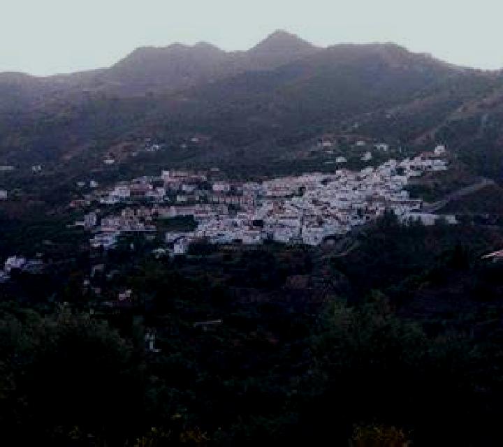Cayetana 3 Grisel escort