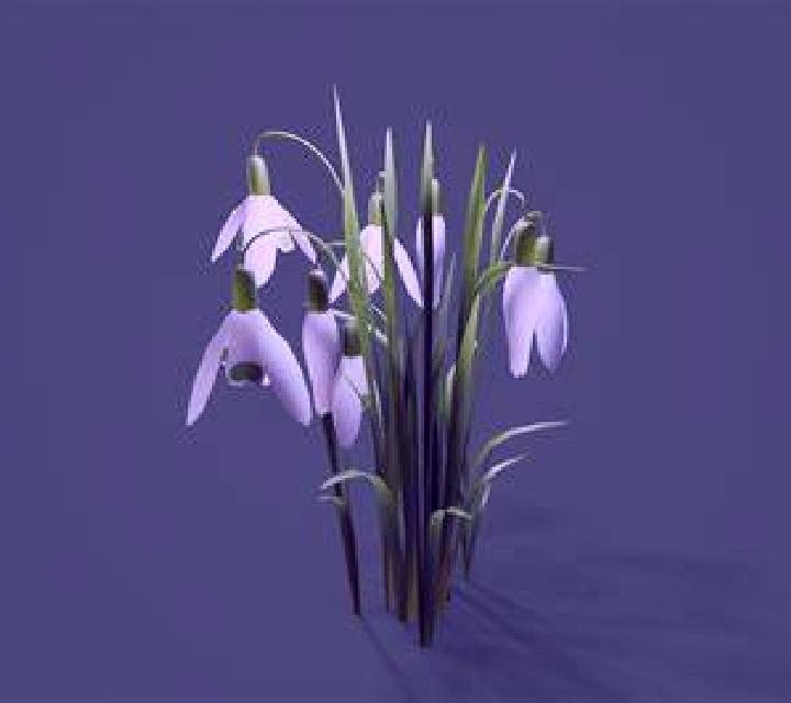Cayetana Cereceda de la Sierra escort