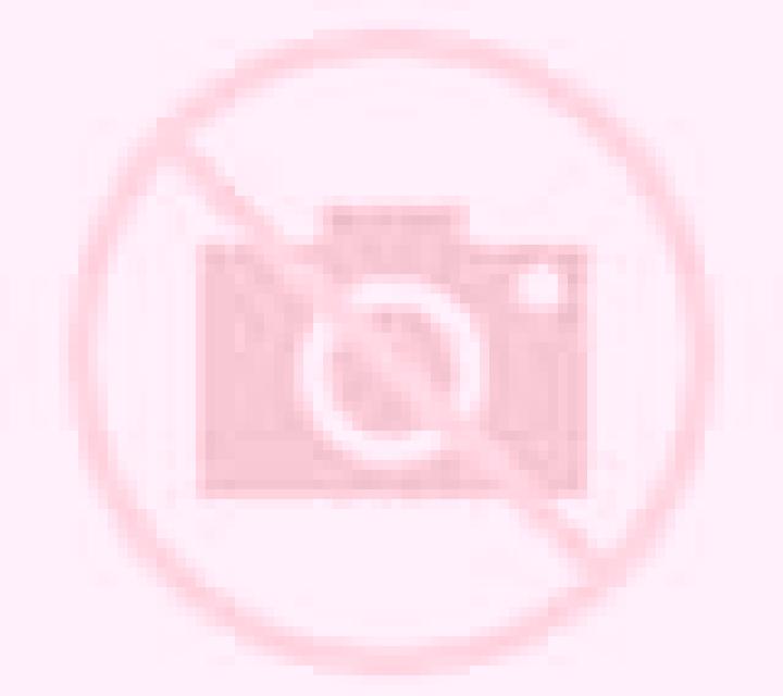 Cayetana Palomares del Campo escort