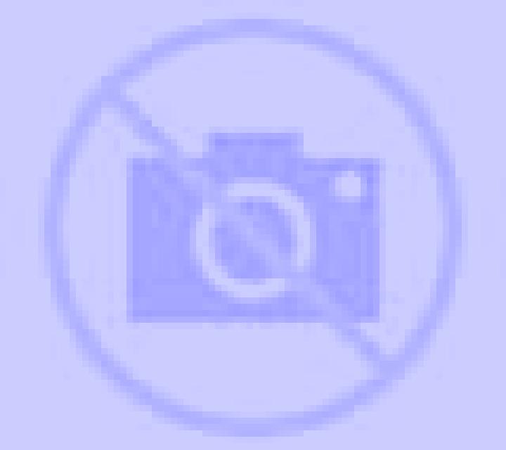 Cecilia Vilarino escort